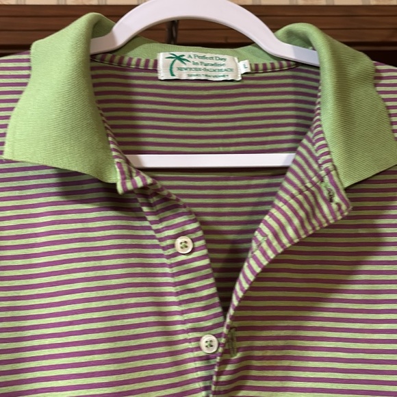 A Perfect Day In Paradise Sebastian Varney Lime Green And Purple Stripes Size L - Picture 3 of 9